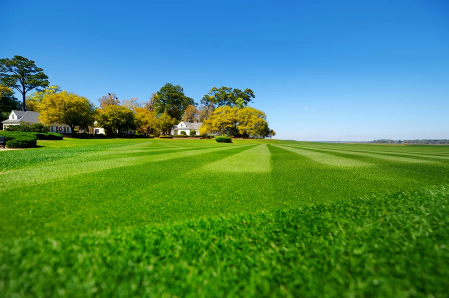 How To Fix Common Lawn Problems Quickly in Hartselle, AL